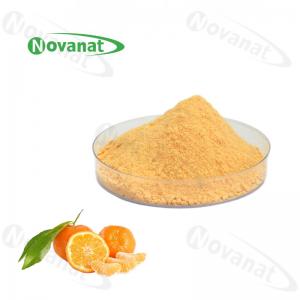 China Orange Concentrated Fruit Vegetable Powder Pure Flavor / Water Soluble / Clean Label on sale