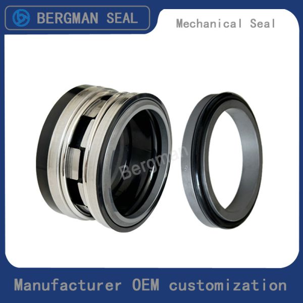 BERGMAN Replaces John Crane 2100-K 12mm-100mm G60 G4 G6 G9 G13 G16 BS Bo BP Pump Mechanical Seal