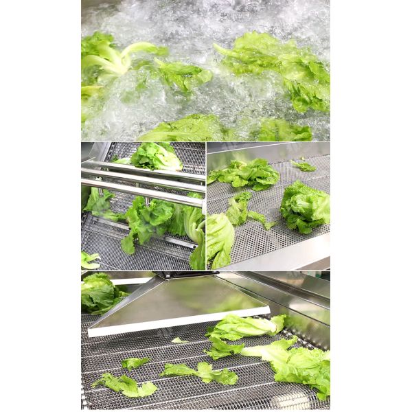 4.5KW Fruit And Vegetable Processing Line Vibration Draining Equipment