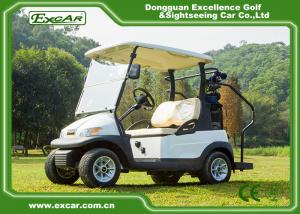 Best Italy Graziano Axle 2 Passenger Golf Cart , Electric Golf Car wholesale