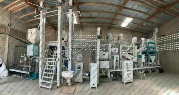 Cheap Rice Processing 60 Tons Per Day Parboiled Rice Machine for sale