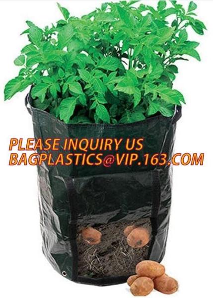 Cheap Smart Grow Bags For Potato/Plant Container/Aeration Fabric Pots With Handles Fabric Plants Pots with Handles, Indoor for sale