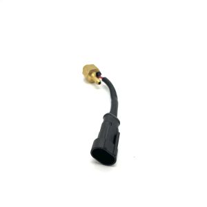 LN-GTS Bronze CNG LPG Automotive Gas Temperature Sensor