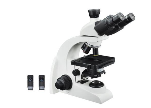 Cheap 3W LED Phase Contrast Microscopy , Trinocular Biological Microscope for sale