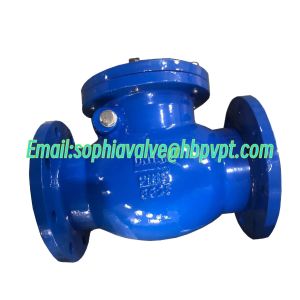 Best DIN PN16 metal seal flanged swing check valve wholesale
