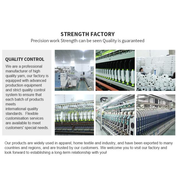 Smooth 100% 402 202 Bright Polyester Yarn Dyed Raw Monofilament Fabric