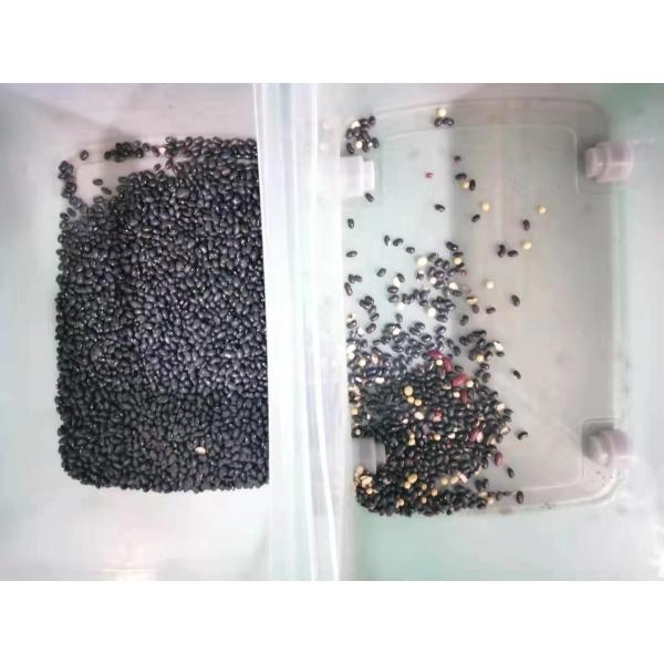 Black Green Bean Sorting Machine For Agricultural Equipment