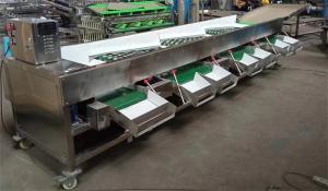 Best apple grading machine, tomato sorting machine, garlic sorting machine wholesale