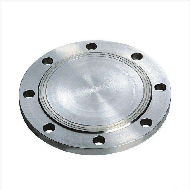 Carbon Steel Forged Steel Flange Round Flange Bearing