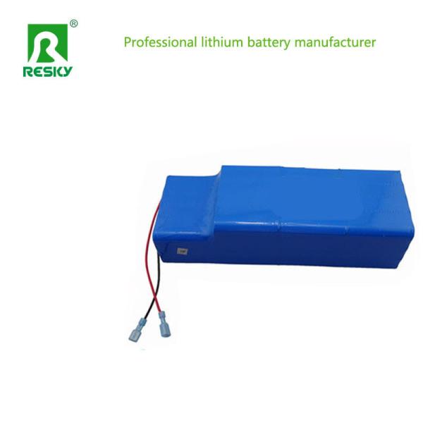 48V 20ah 1000W Lithium Battery Pack For Electric Vehicle
