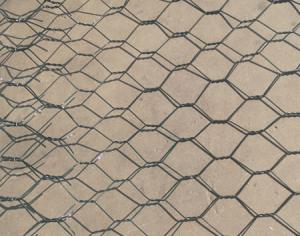 Best PET 100x120mm galvanized hexagonal chicken wire mesh ecological governance wholesale