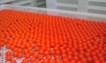 Experimental Round Paintball Encapsulation Machine With HMI Switch / Buttons