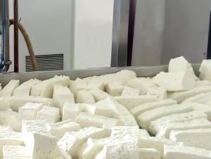 Pasteurized US316 500L Dairy Cheese Making Equipment