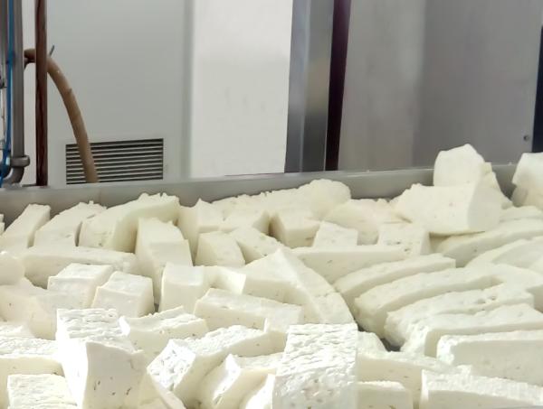 Cheap Pasteurized US316 500L Dairy Cheese Making Equipment for sale