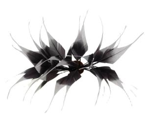 Best Millinery Stripped Goose Feather Mounts , Dried Flowers Feathers 10x15cm wholesale