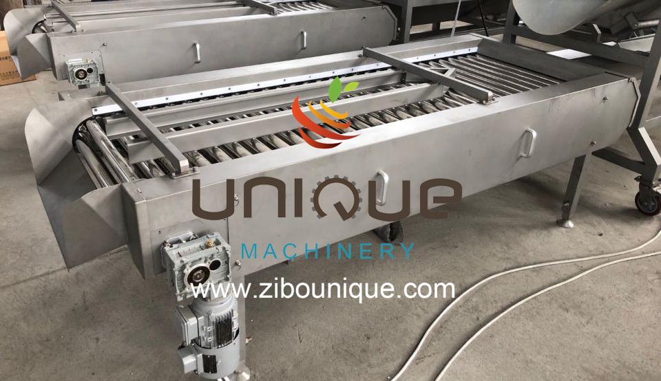 Washing and Peeling Function Stainless Steel Peeler Machine for Frozen Root Vegetables