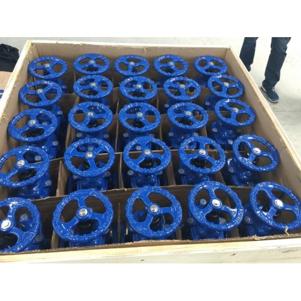 DIN3352 resilient seal cast iron PN16 gate valve