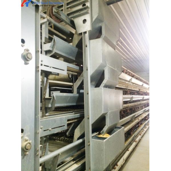 Modern Poultry Cage Customized Hot Dip Galvanized Steel Layer Poultry Cages
