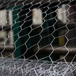 Best Q235 HDG Metal Chicken Wire Garden Fence BWG25 Straight Twisted wholesale
