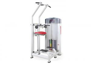 Best Sport Life Fitness Strength Gym Equipments Assist Dip Chin Exercise Machine wholesale