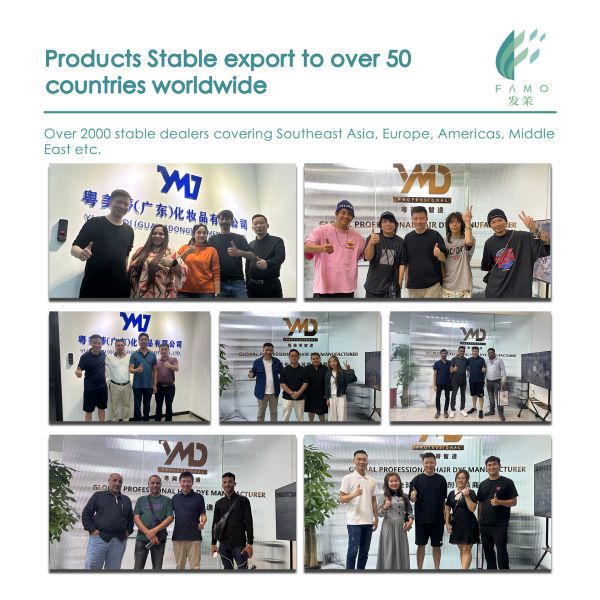 Purestyle OEM Home Hair Dye Cream Suit Raw Material Ammonia Free with Oxidant Cream Easy Application