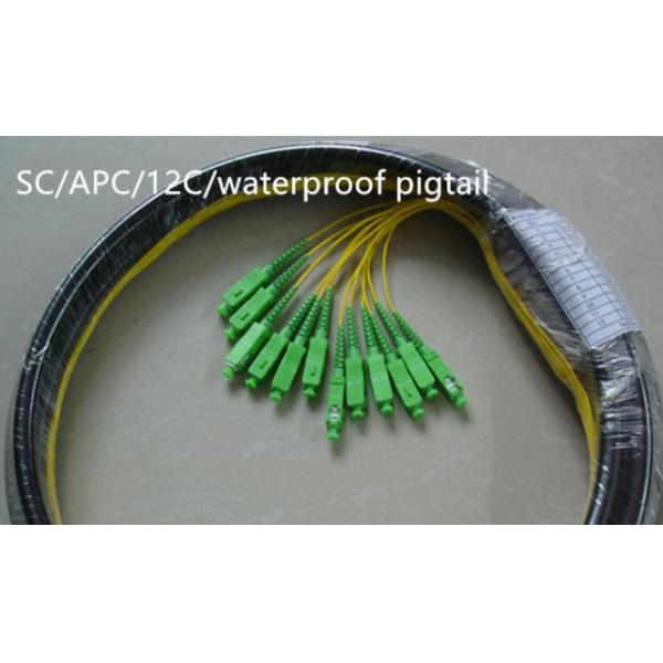 1 Core 2 Core 4 Core Pigtail Fiber Optic Cable With SC FC APC Connector Waterproof