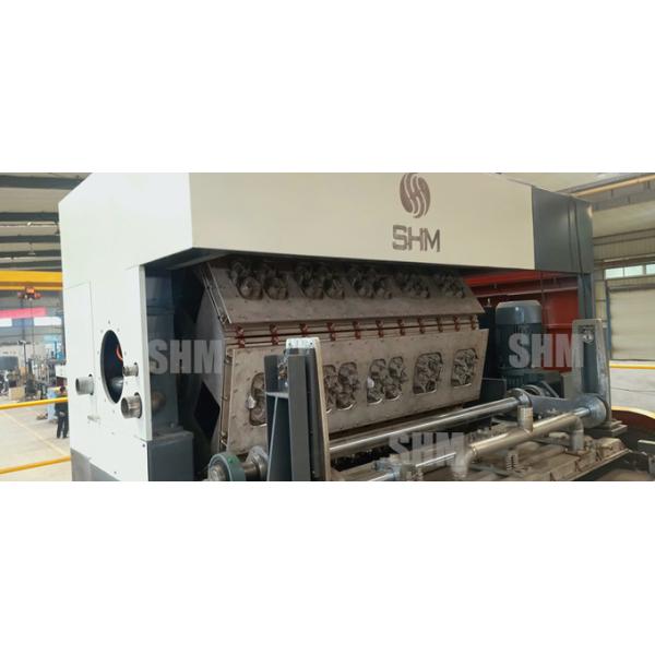 Moulded Pulp Coffee Cup Tray Making Machine Fully Automatic CE