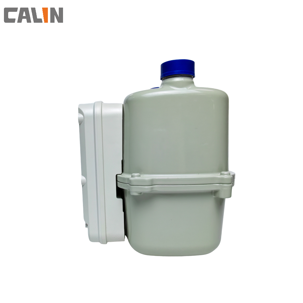 STS Steel Prepaid Gas Meter