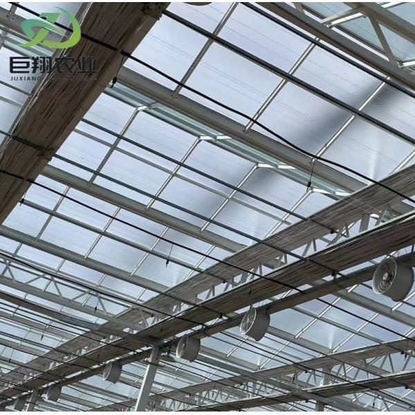 Lighting System for Container Greenhouses