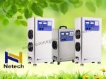 Air / Oxygen Source Large Ozone Generator Water clean For Agriculture 2g 30g
