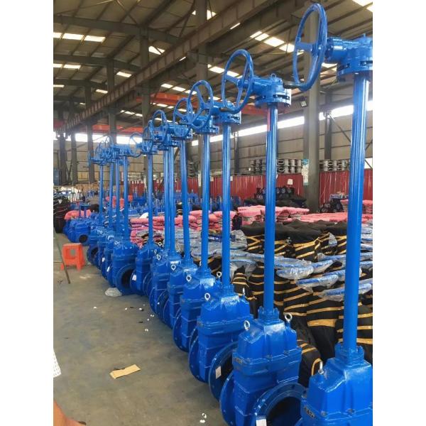OEM PN10 Extension Stem Gate Valve With Extended Stem ODM