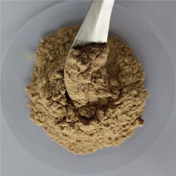 Cheap Anti-bacterial Peppermint Extract Halal In Bulk Stock for sale