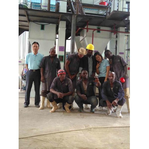 500kg/h 1t/h 2t/h Automatic Poultry Feed Pellet Production Line / Pellet Plant Small Manufacturing Machines Linea Produccion Pellets Alimentos Cerdos