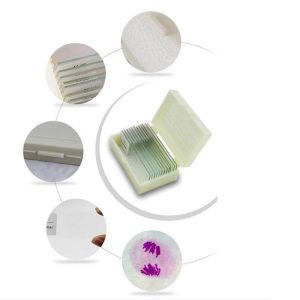 Medical Lab 12pcs Prepared Botany Slides On Plant Research