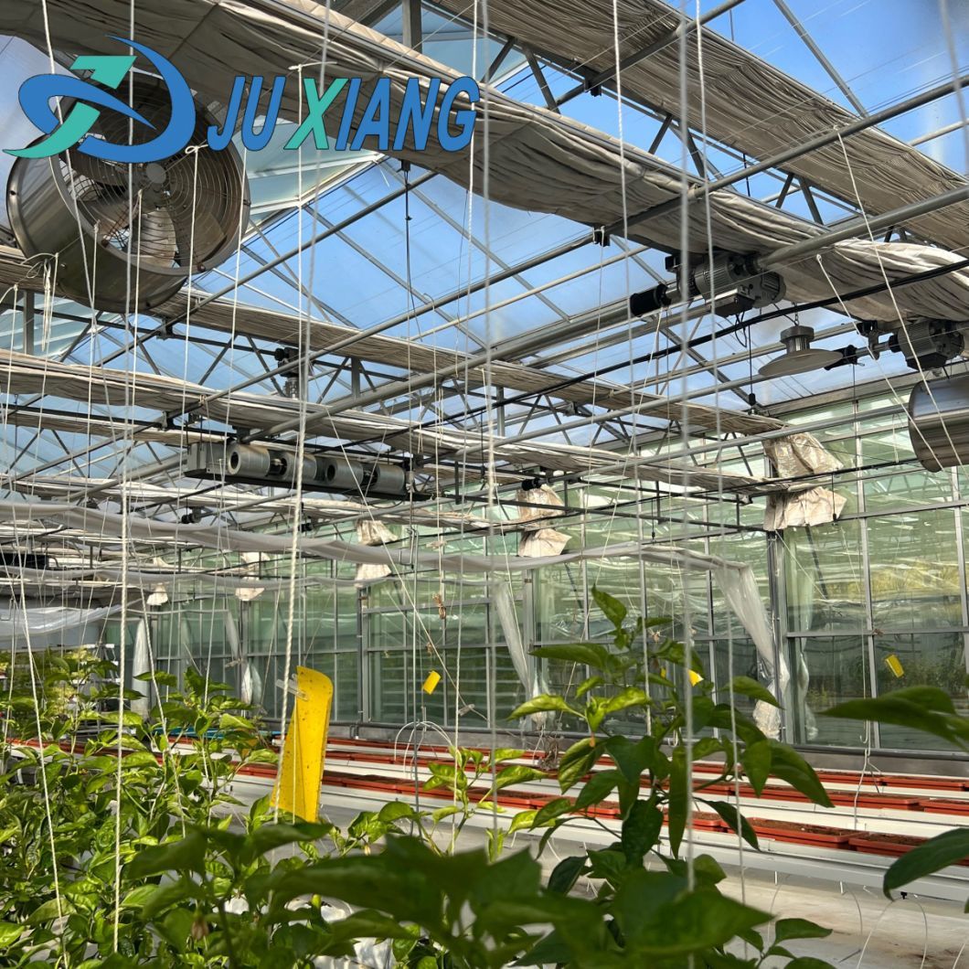 Trademarked Ju Xiang Glass Greenhouse