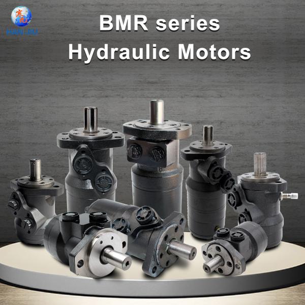 High Efficient Gerolor Motor Hydraulic Wheel Motor Rw400 Bmrw400 With Key Straight Shaft