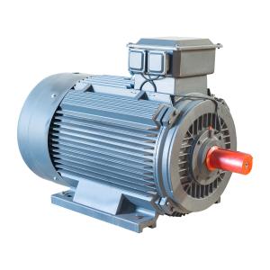 Best IP55 3 Phase Variable Speed AC Motor Induction Iron Cast 100% Output Power wholesale