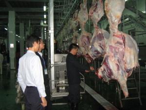 Best Beef Split Meat Production Line / Processing Line 100-300 Cattle Per Hour Speed wholesale