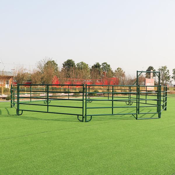 12FT Corral Fence