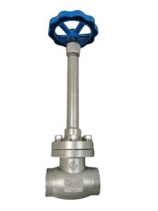 DN25 PN50 CF8 Cryogenic Socket Weld Globe Valve