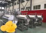 Professional Mango Processing Line / Safety Mango Juice Processing Plant