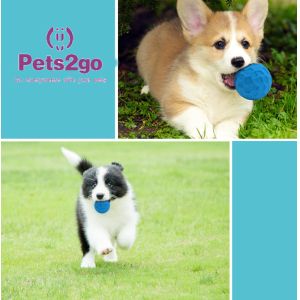 OEM food leakage Soft Rubber Ball for Small Animals