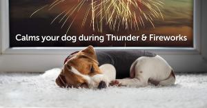 Best Dog Anxiety Jacket Vet Recommended Calming Solution Vest for Fireworks, Thunder, Travel, &amp; Separation wholesale