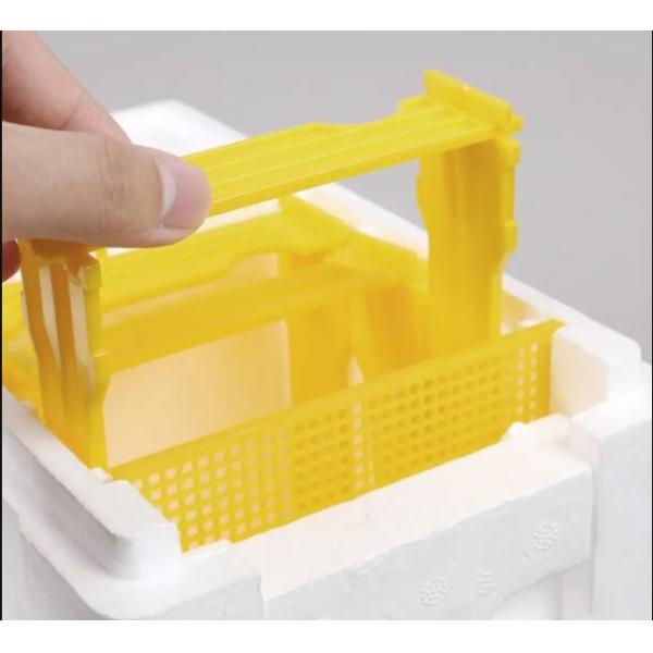 Single Layer Foam Bee Hive Equipment Mating Breeding Box Beekeeping Queen Rearing