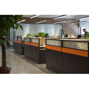 Shenzhen Shiningworth Technology Co., Ltd.