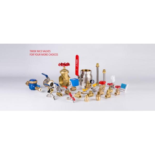 Low Pressure DN25 20mm 22mm Pump Gate Valve