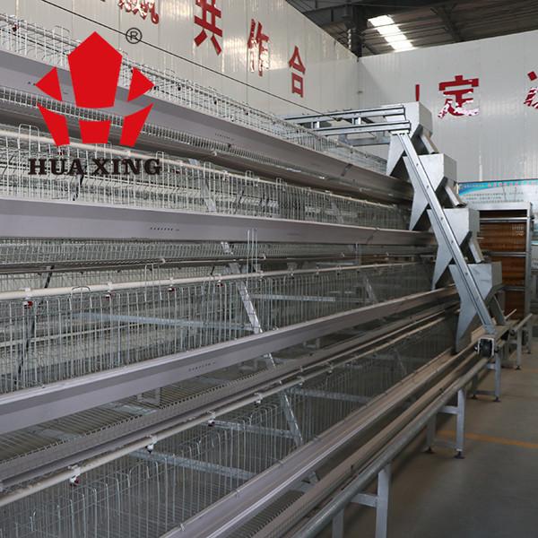 Cheap Durable A Type Layer Chicken Cage System Automatic Control IS9001 Approval for sale