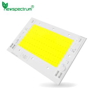 Best 100w 150w Ac Cob Led Chip Linear Driver Free COB Light Source wholesale