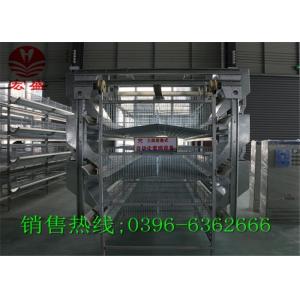 Best Commercial Automatic Egg Collection System / Durable Egg Collector Machine wholesale
