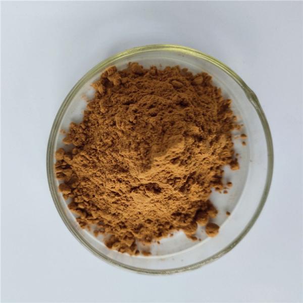 Cheap Brunellae Spica P.E/runella vulgaris extract for sale